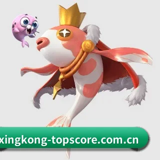 星空体育实时比分 APP
