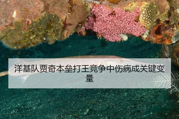 yang-ji-dui-jia-qi-ben-lei-da-wang-jing-zheng-zhong-shang-bing-cheng-guan-jian-bian-liang-2-663.jpg