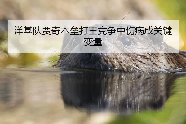 洋基队贾奇本垒打王竞争中伤病成关键变量