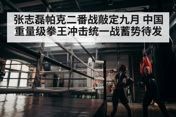 boxer training